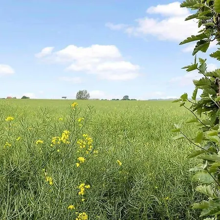 Ae273-soby-aero-rondal-7 Feriehus *